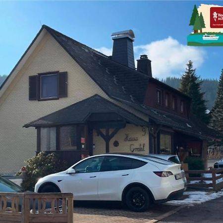 Am Sommerberg - Greschuk Apartments Фельдберг Экстерьер фото