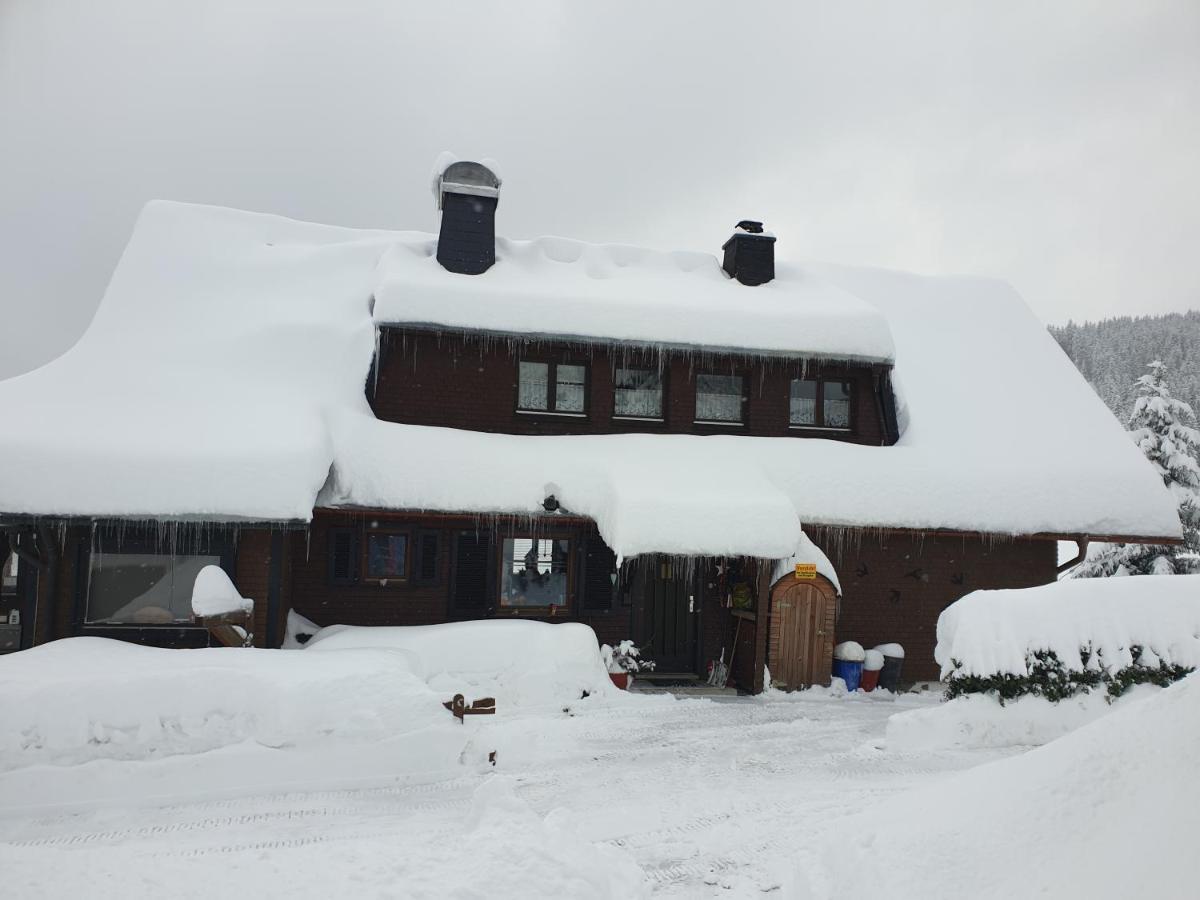 Am Sommerberg - Greschuk Apartments Фельдберг Экстерьер фото