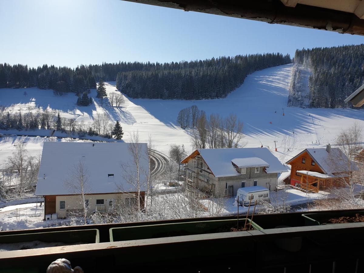 Am Sommerberg - Greschuk Apartments Фельдберг Экстерьер фото